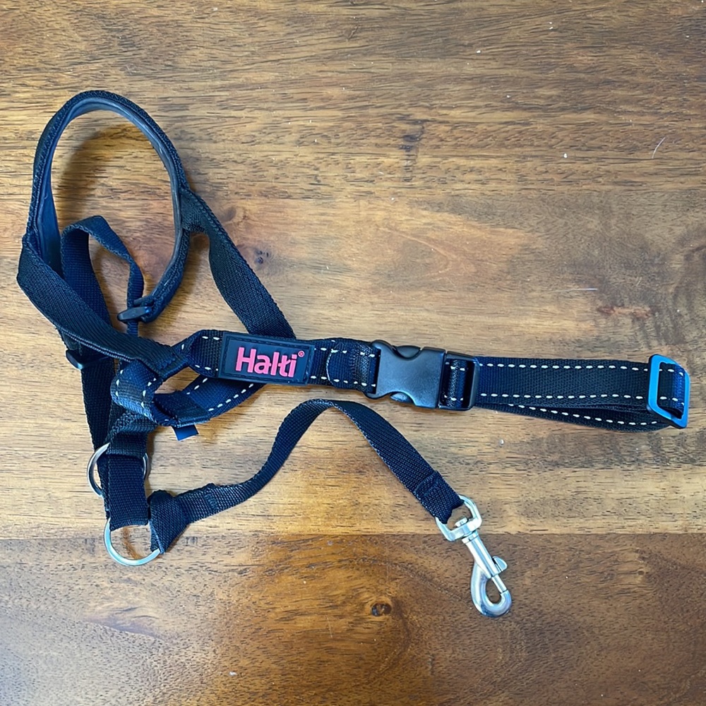 Black Headcollar for Dogs - Picture 4 of 7